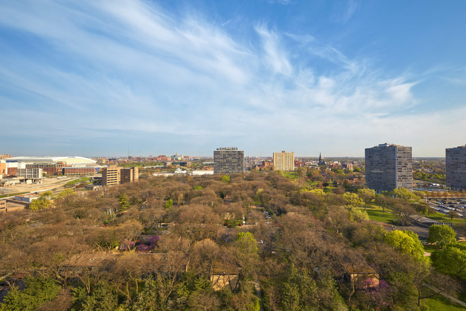 Michigan Architectural Foundation 